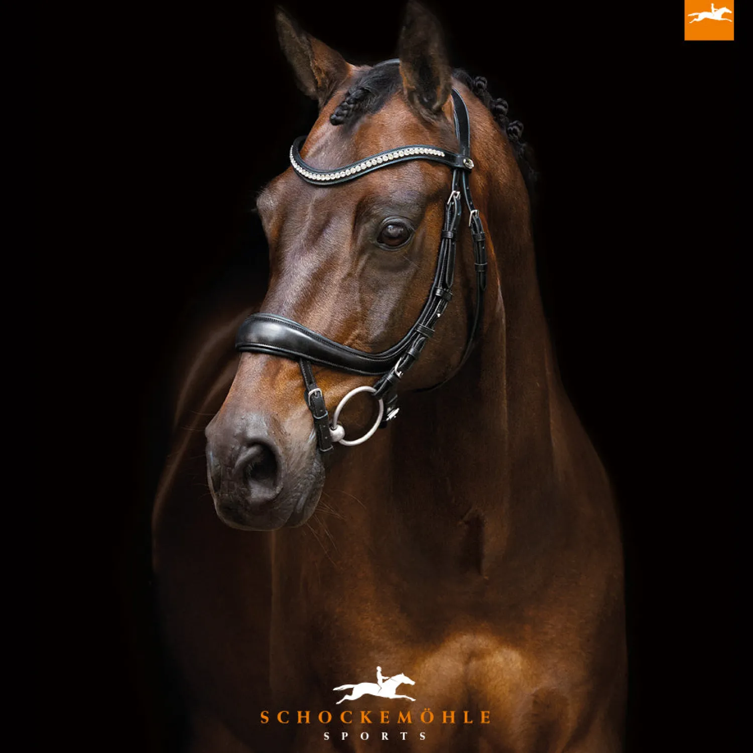 SCHOCKEMOEHLE N.A. Schockemöhle Equitus Beta Bridle Black/Silver Outlet