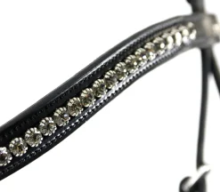 SCHOCKEMOEHLE N.A. Schockemöhle Equitus Beta Bridle Black/Silver Outlet