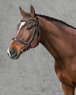 SCHOCKEMOEHLE N.A. Schockemöhle Equitus Delta Bridle Discount