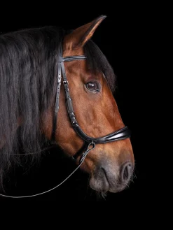 SCHOCKEMOEHLE N.A. Schockemöhle Equitus Theta Bridle Clearance