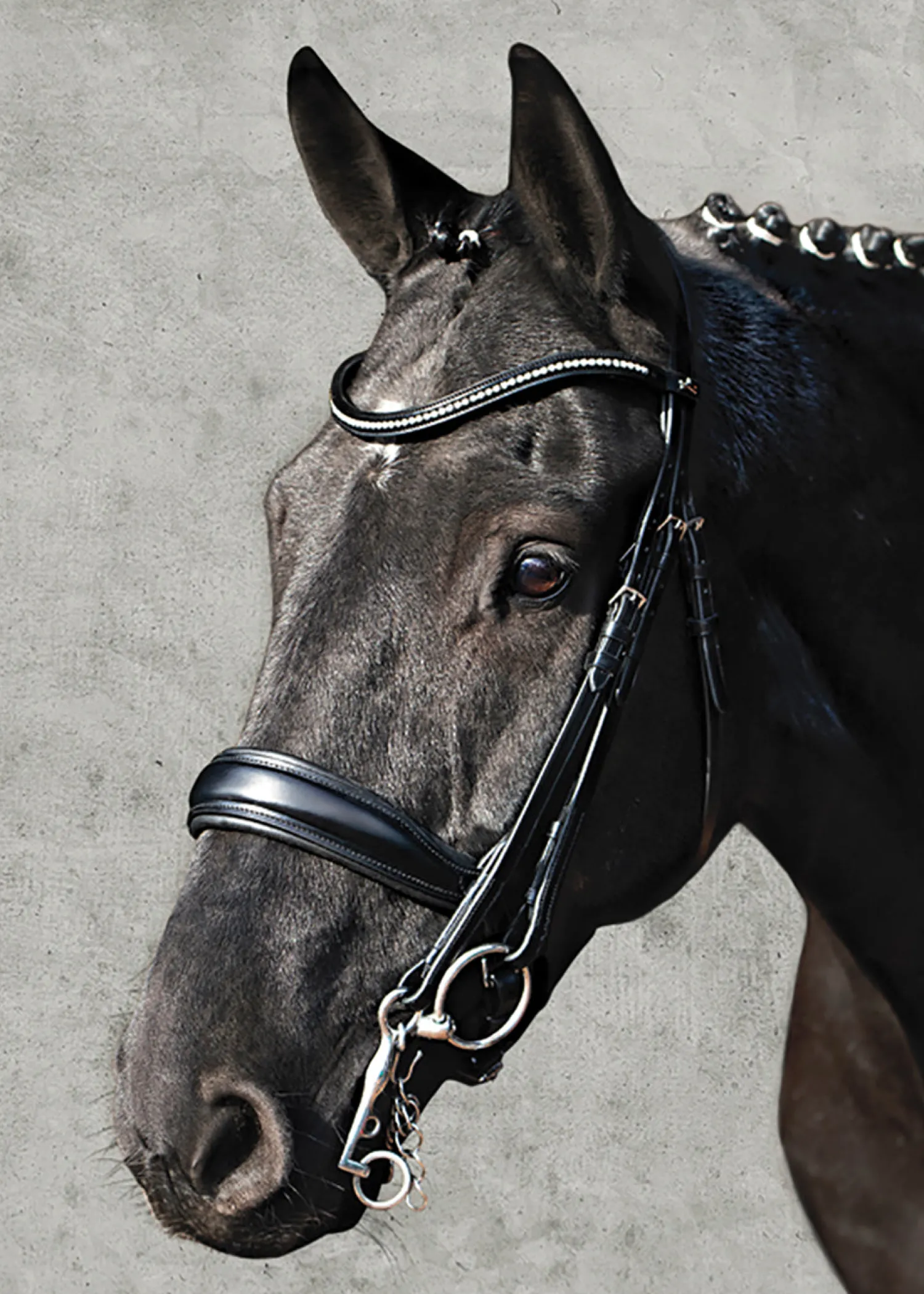 SCHOCKEMOEHLE N.A. Schockemöhle Milan Anatomical Double Bridle Black/Silver Online