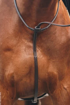 SCHOCKEMOEHLE N.A. Schockemöhle Santa Clara Standing Martingale Espresso/Silver Sale