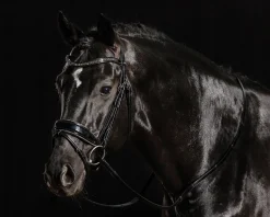 SCHOCKEMOEHLE N.A. Schockemöhle Standford Glam Bridle Black Patent/Silver Sale