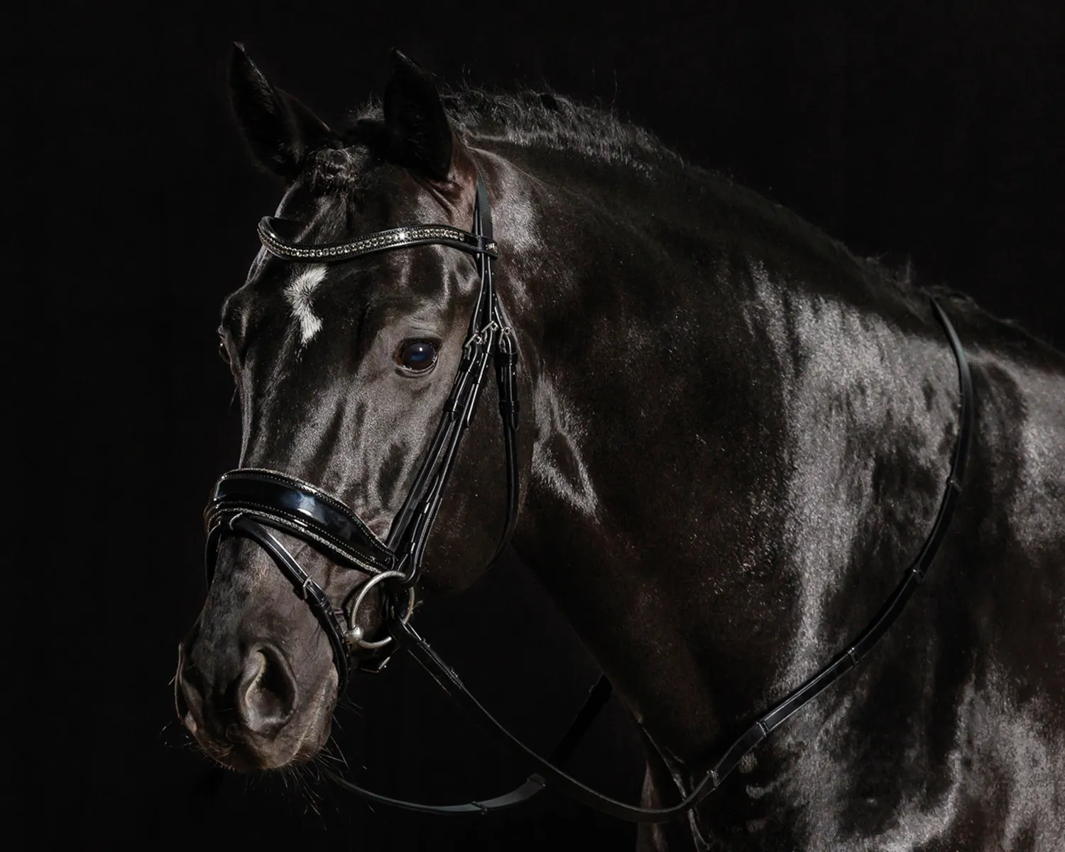 SCHOCKEMOEHLE N.A. Schockemöhle Standford Glam Bridle Black Patent/Silver Sale