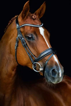 SCHOCKEMOEHLE N.A. Schockemöhle Malibu Bridle New