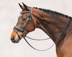 SCHOCKEMOEHLE N.A. Schockemöhle Malibu Bridle New