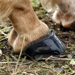 INTREPID INTL Scoot Boot Skins Glue-On - 2 Pack Clearance