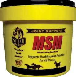 ANIMAL HEALTH INT Select MSM Joint Supplement Online