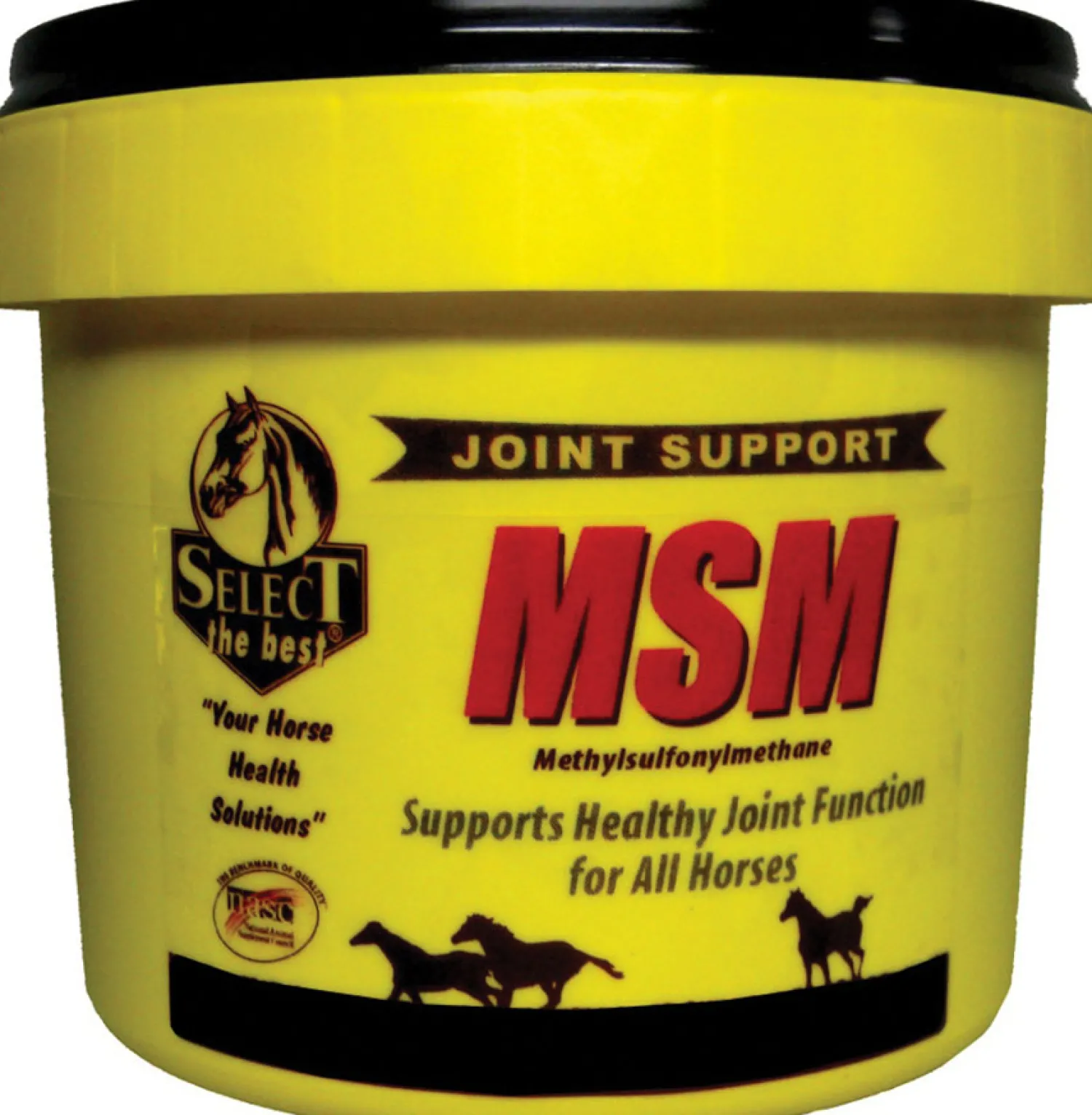 ANIMAL HEALTH INT Select MSM Joint Supplement Online