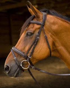 SHIRES EQUESTRIAN Shires Avignon Louisville Bridle Clearance