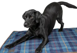 SHIRES EQUESTRIAN Shires Digby & Fox Large Tweed Blanket Best