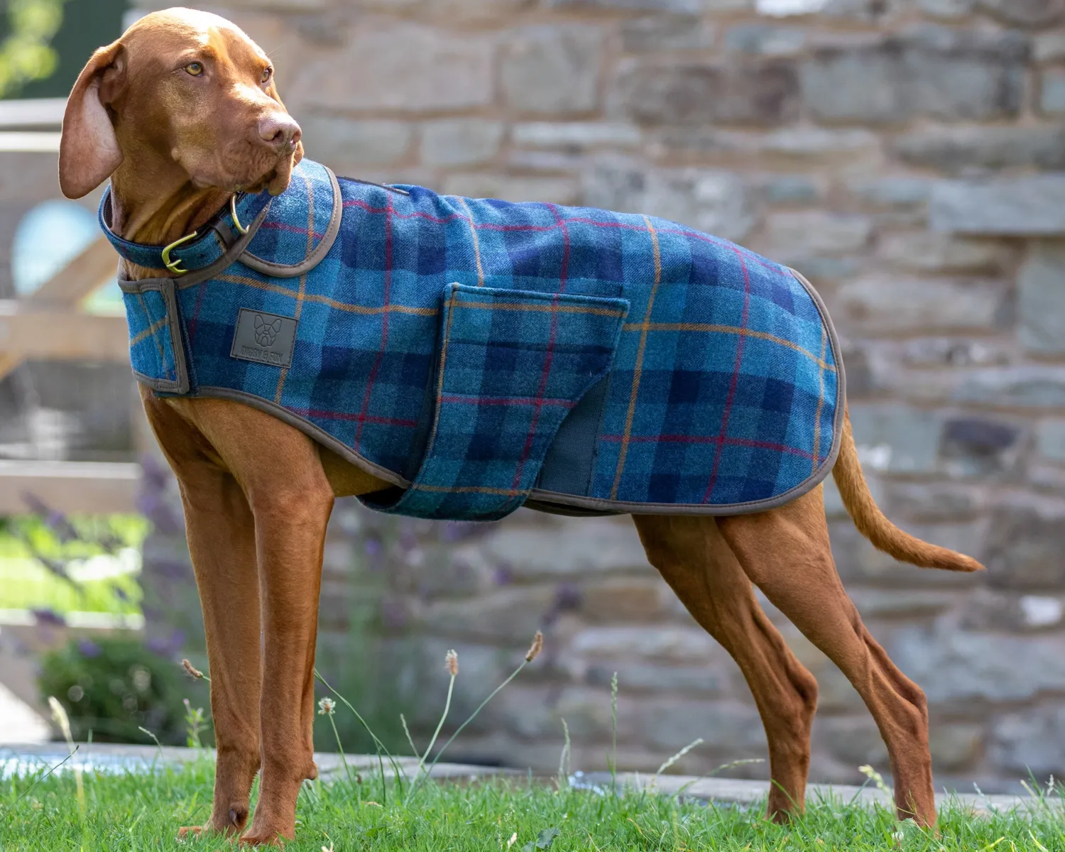 SHIRES EQUESTRIAN Shires Digby & Fox Tweed Dog Coat Online