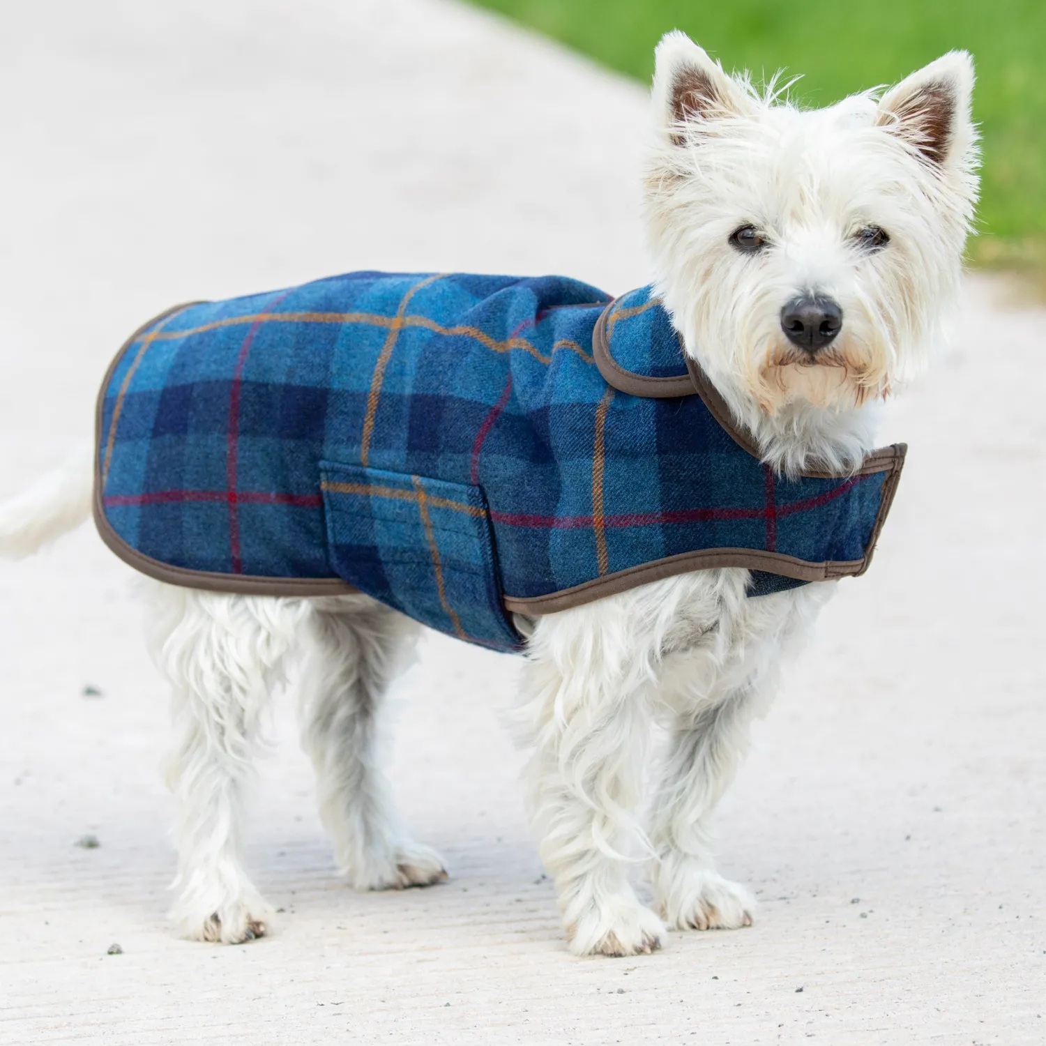 SHIRES EQUESTRIAN Shires Digby & Fox Tweed Dog Coat Online