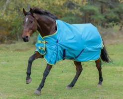 SHIRES EQUESTRIAN Shires Highlander 100G Blanket Best