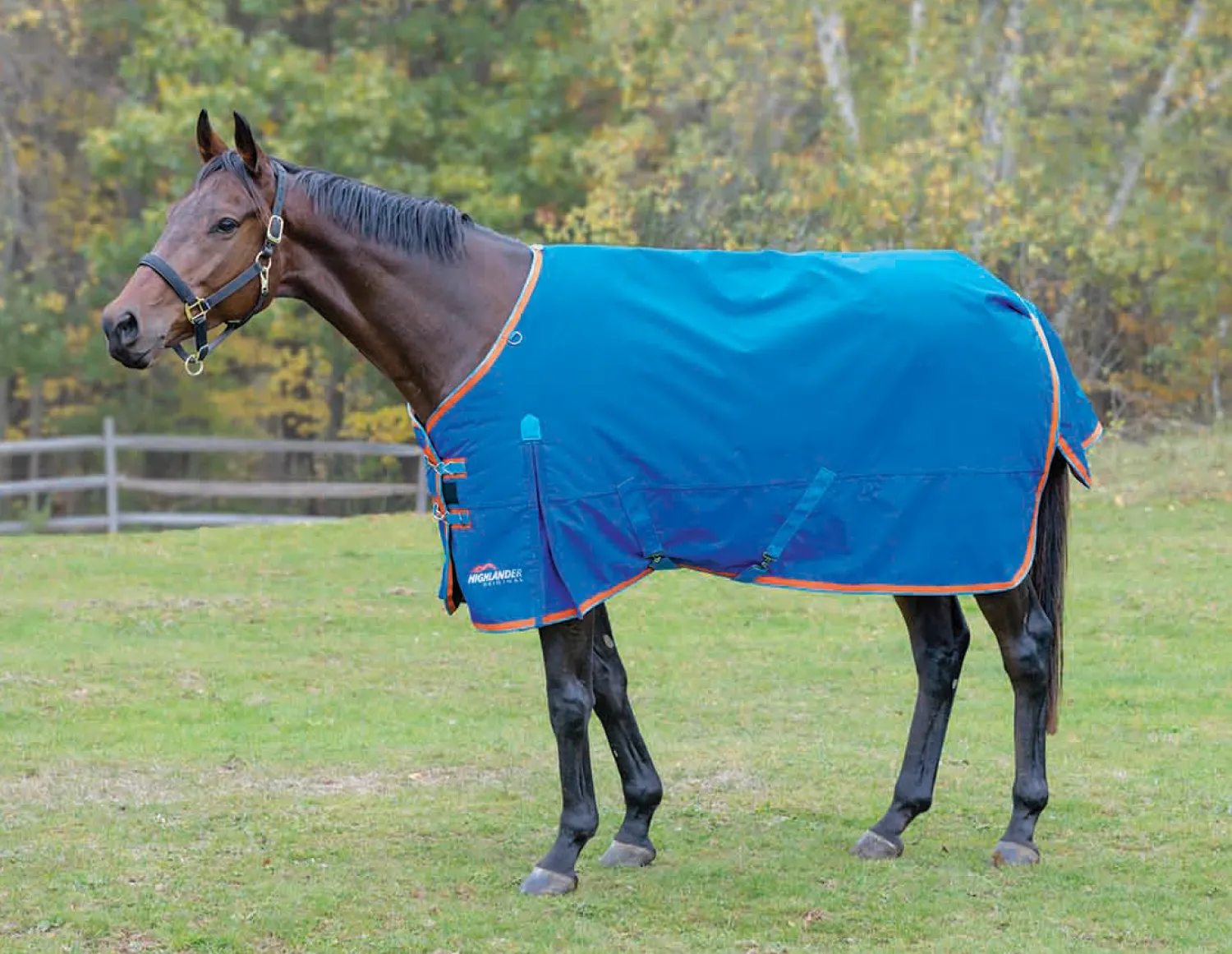 SHIRES EQUESTRIAN Shires Highlander 200G Blanket New