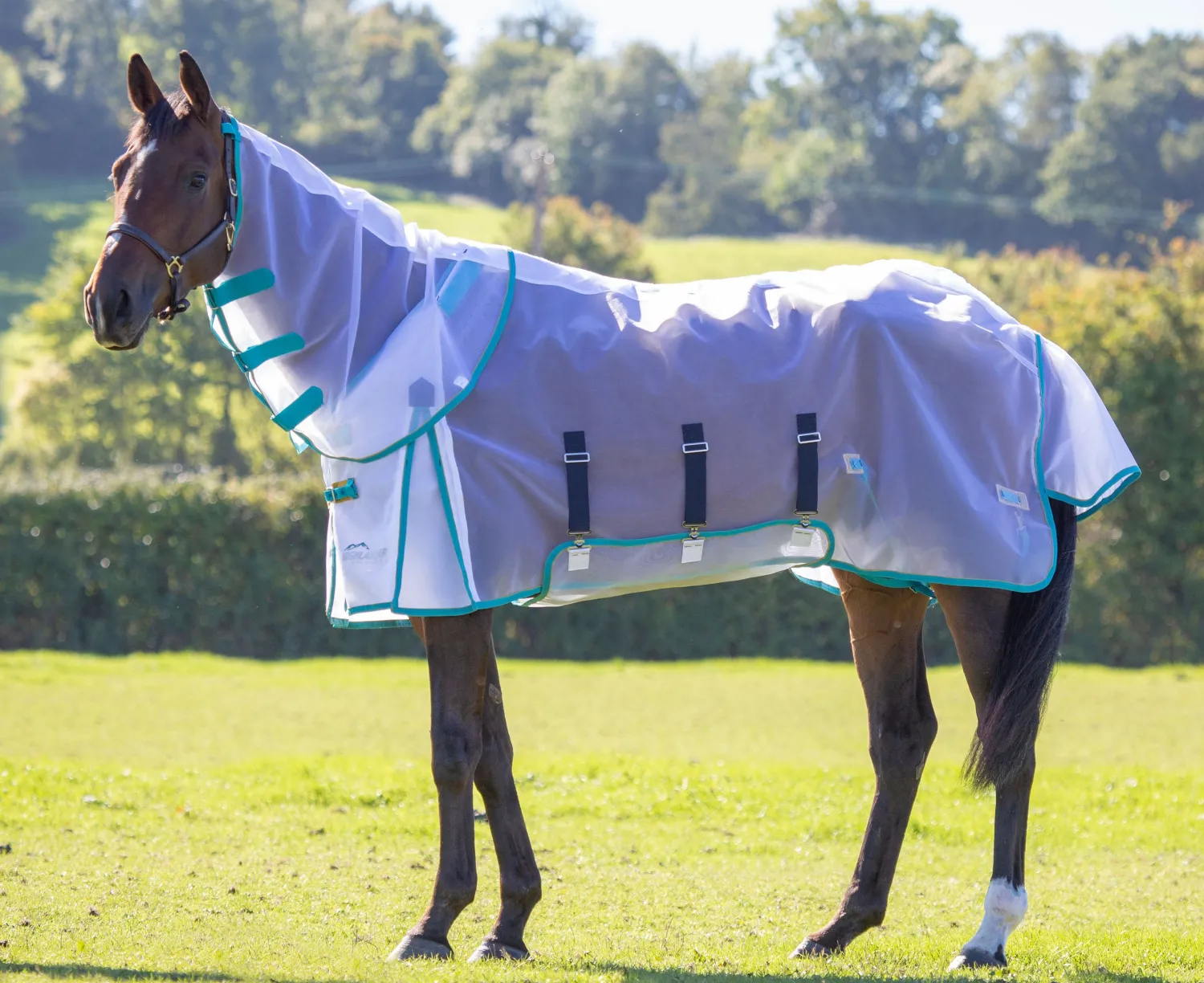 SHIRES EQUESTRIAN Shires Mesh Fly Sheet & Neck Cover White/Teal/Mustard