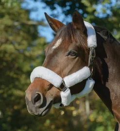 SHIRES EQUESTRIAN Shires SupaFleece Halter Fleeces - 9 piece set White Clearance