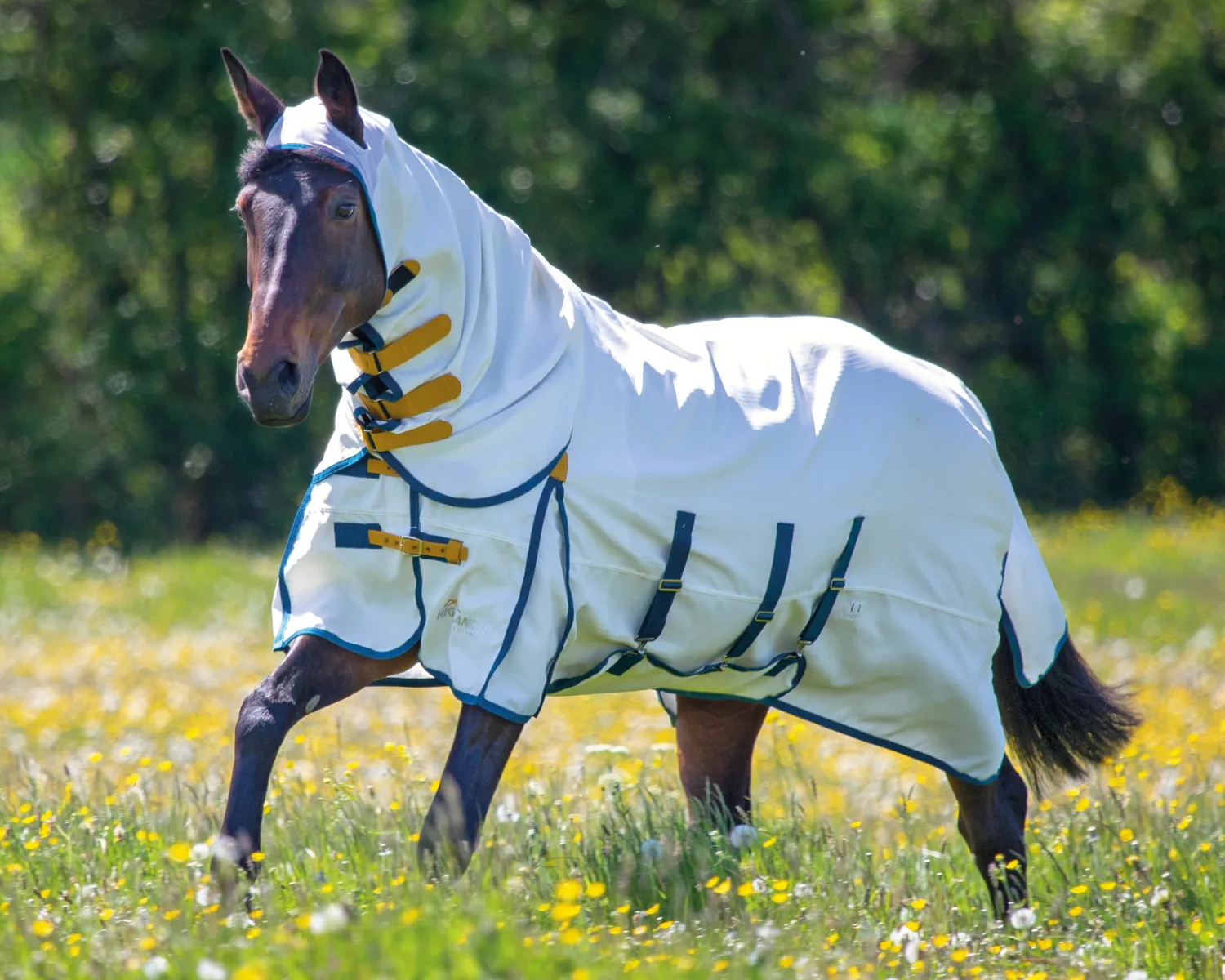 SHIRES EQUESTRIAN Shires Sweet-Itch Combo White/Navy/Mustard Clearance