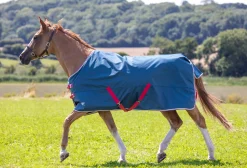 SHIRES EQUESTRIAN Shires Tempest Original Lite Turnout Sheet Clearance