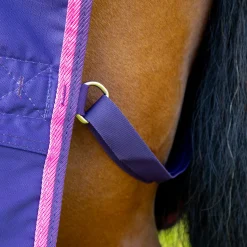 SHIRES EQUESTRIAN Shires Tempest Original Lite Turnout Sheet Clearance