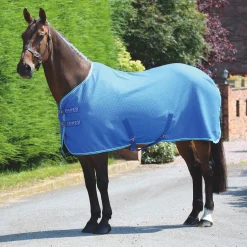 SHIRES EQUESTRIAN Shires Tempest Original Waffle Cooler Royal Online