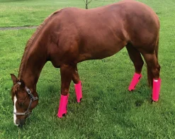 ANIMAL HEALTH INT Shoofly Leggins™ Set of 4 Online