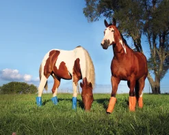 ANIMAL HEALTH INT Shoofly Leggins™ Set of 4 Online