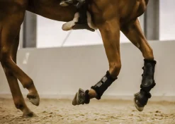 STUBBEN N.A. Stübben Airflow Fleece-Lined Brushing Boots Discount