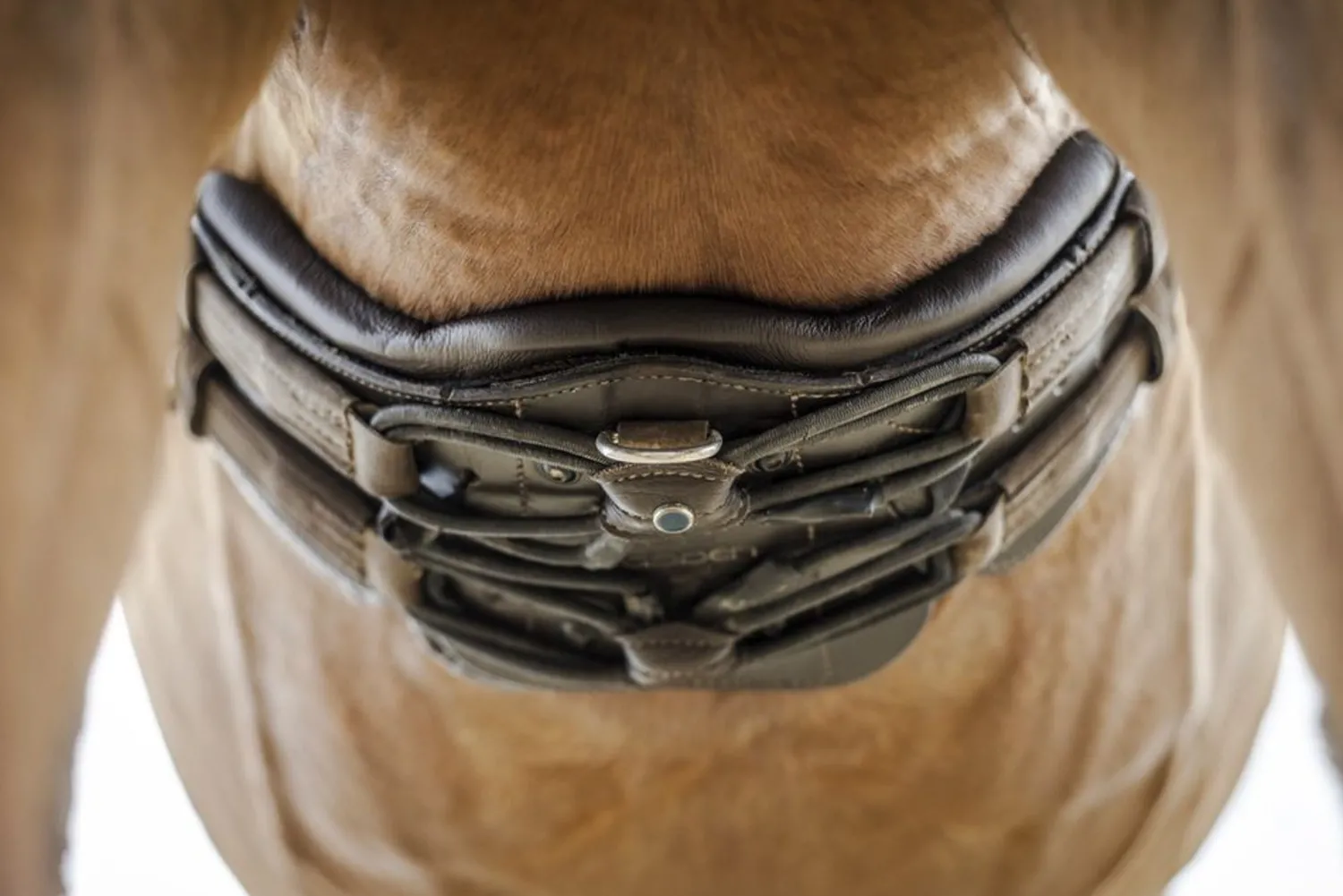 STUBBEN N.A. Stübben Equi-Soft® Girth New