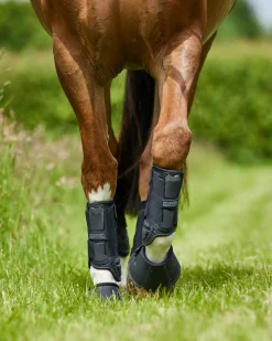 STUBBEN N.A. Stübben Hybrid Cross Country Front Boots Black Discount