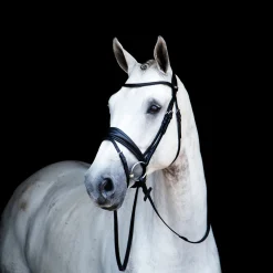 STUBBEN N.A. Stübben Switch Combo Bridle Black/Black Sale