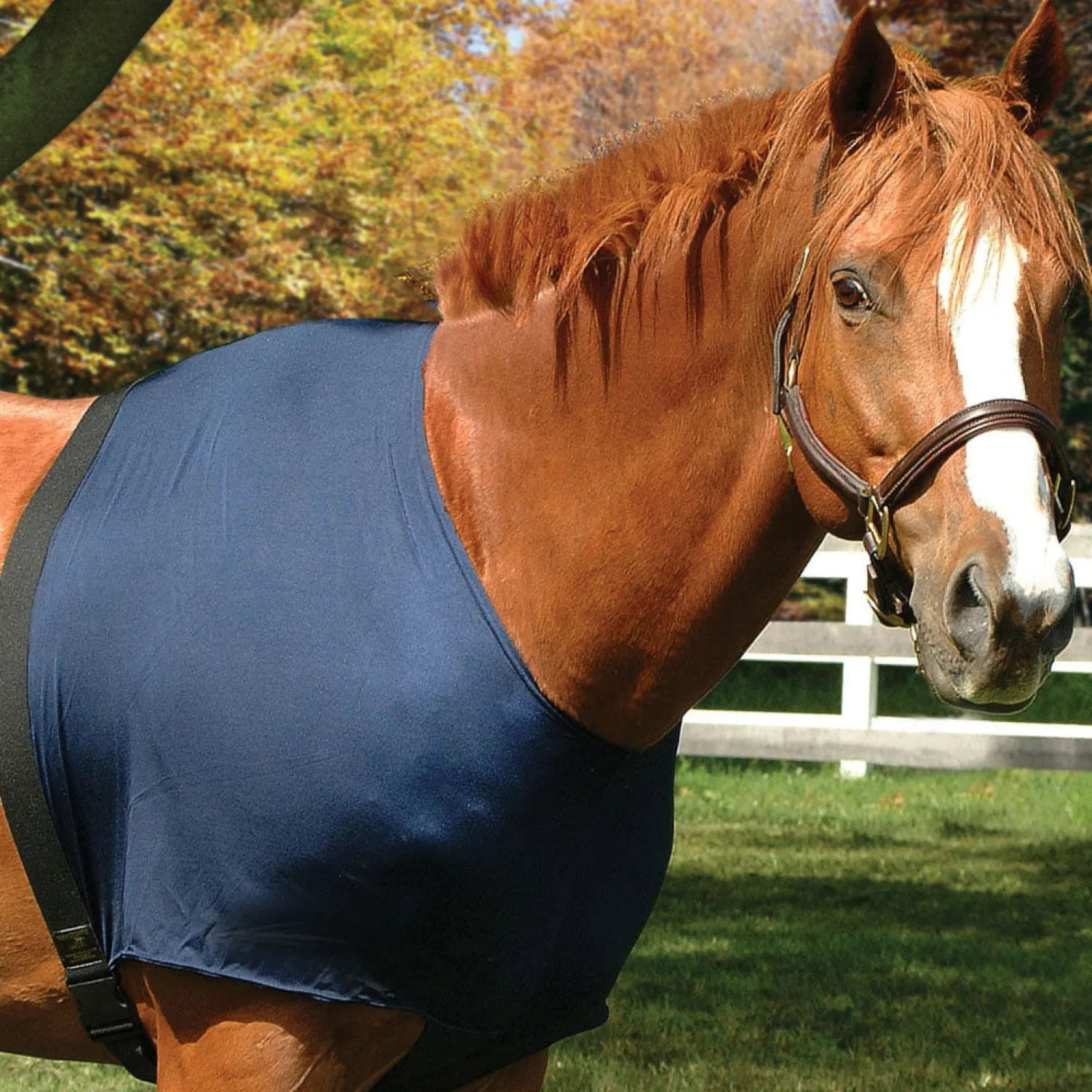 INT RIDING HELMET Stretchies® Shoulder Guard Sale