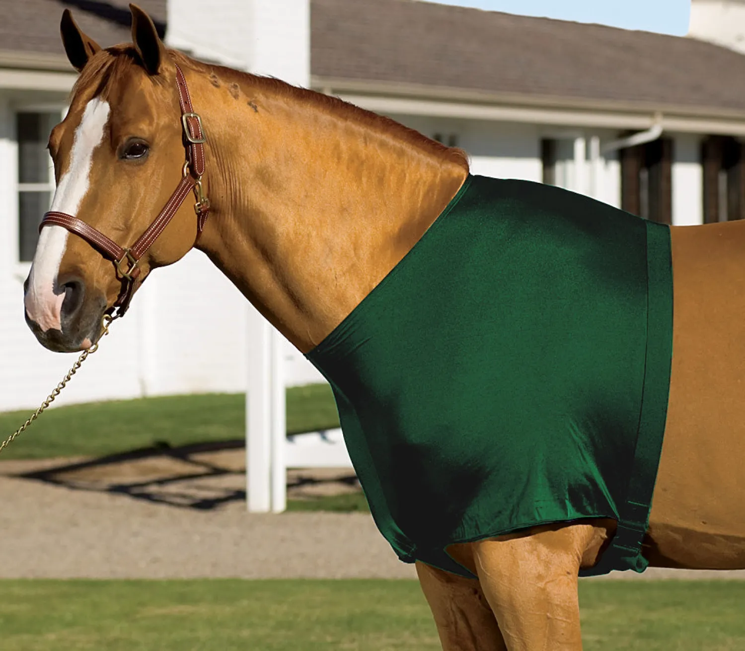 INT RIDING HELMET Stretchies® Shoulder Guard Sale