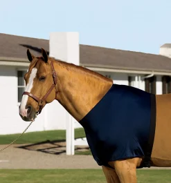 INT RIDING HELMET Stretchies® Shoulder Guard Sale