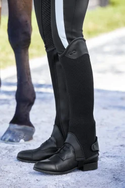 TEXT HORSE Stride™ Ladies’ Coolmesh Half Chaps Best