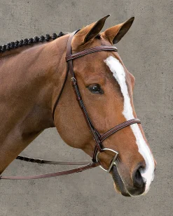 KINGS INTERNATIONAL Suffolk™ Classic Hunter Bridle Brown Sale