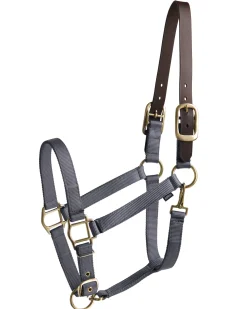 TEXT HORSE Suffolk™ Heavy Nylon Halter with Breakaway Crown Sale