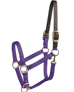 TEXT HORSE Suffolk™ Heavy Nylon Halter with Breakaway Crown Sale