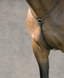 KINGS INTERNATIONAL Suffolk™ Hunter Breastplate Outlet