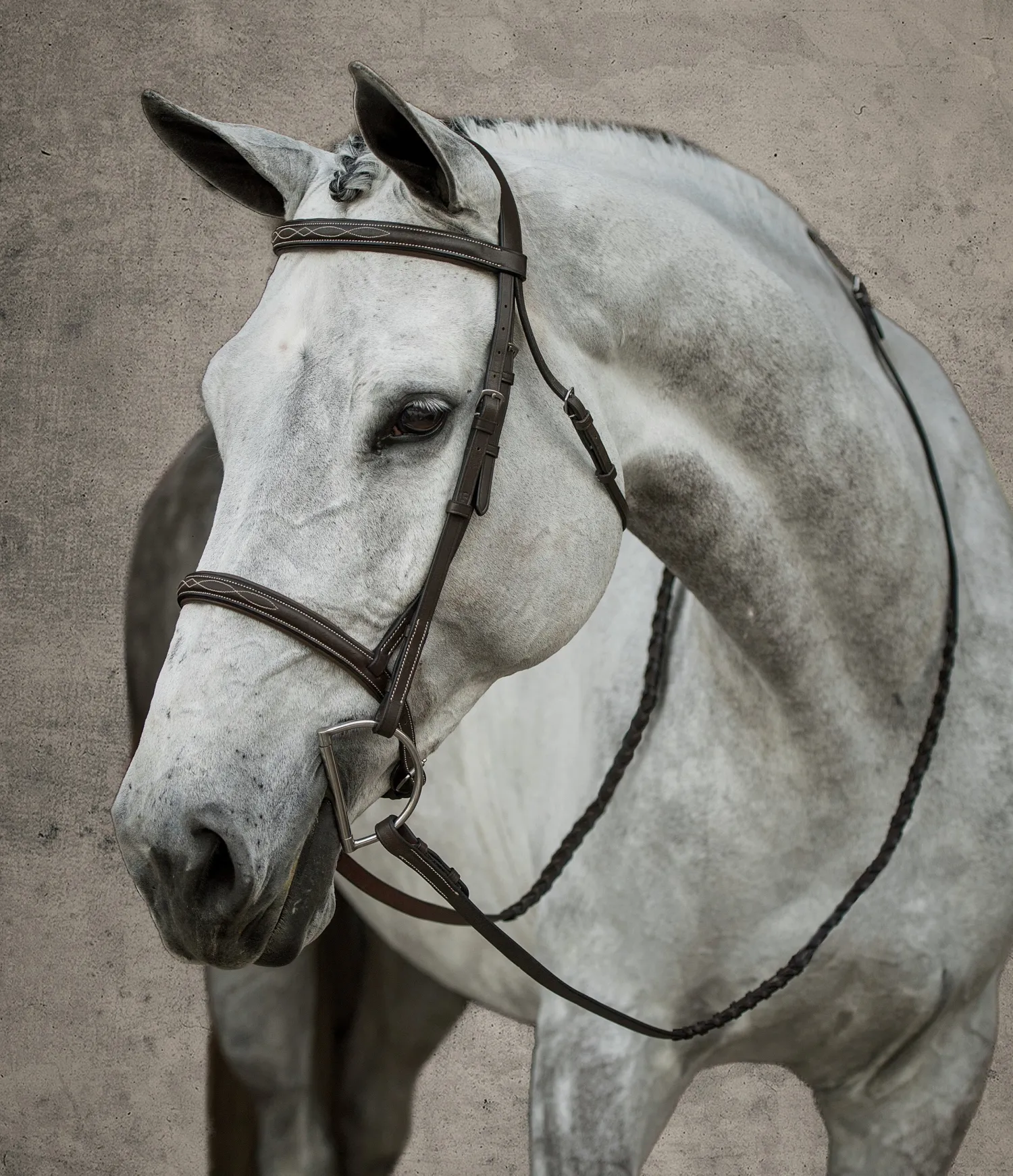 KINGS INTERNATIONAL Suffolk™ Hunter Fancy-Stitched Bridle