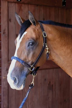 PUSHKAR INTL Suffolk™ Leather & Rope Halter with Lead Discount