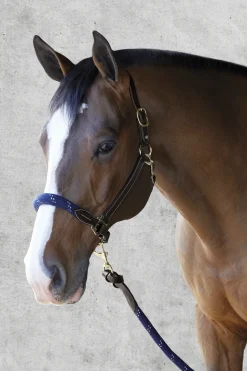 PUSHKAR INTL Suffolk™ Leather & Rope Halter with Lead Discount