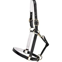 KINGS INTERNATIONAL Suffolk™ Lined Halter Outlet
