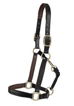 KINGS INTERNATIONAL Suffolk™ Lined Halter Outlet