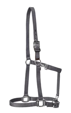 TEXT HORSE Suffolk™ Nylon Breakaway Halter New