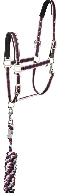TEXT HORSE Suffolk™ Padded Striped Breakaway Halter & Lead New