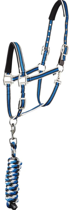 TEXT HORSE Suffolk™ Padded Striped Breakaway Halter & Lead New