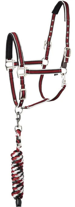 TEXT HORSE Suffolk™ Padded Striped Breakaway Halter & Lead New