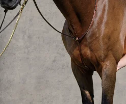 KINGS INTERNATIONAL Suffolk™ Raised Standing Martingale Brown Hot