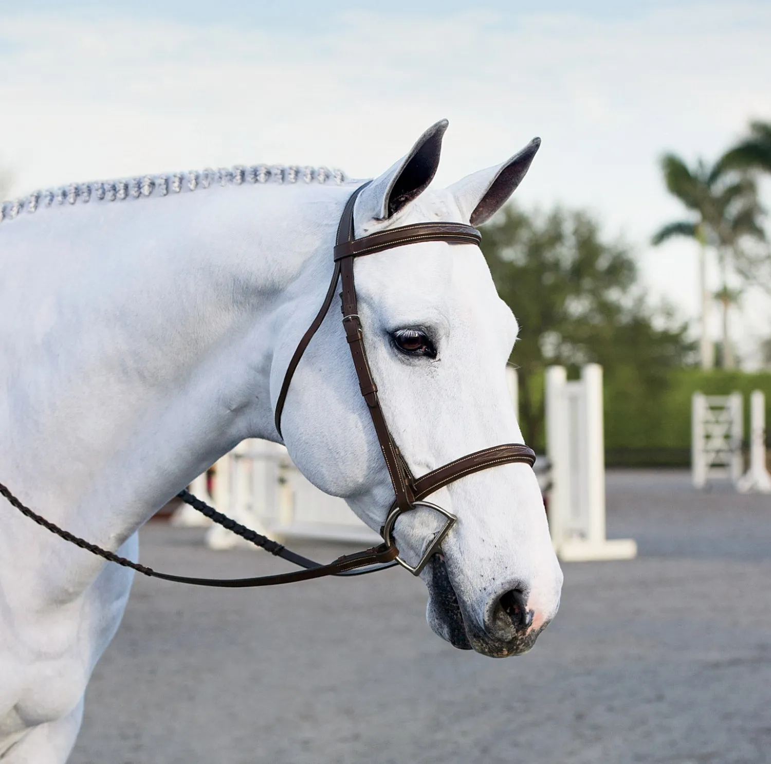 KINGS INTERNATIONAL Suffolk™ Single Crown Hunter Bridle Oakbark Clearance